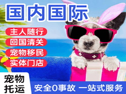 凯里黄平机场空运国际宠物托运 【国